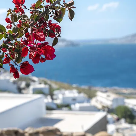 Amelie Mykonos